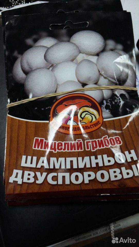 Семена грибов купить на Зозу.ру - фотография № 3