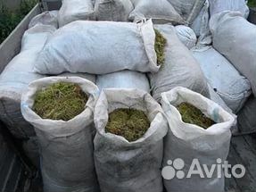 Мох сфагнум в мешках купить живой зеленый купить на Зозу.ру - фотография № 1