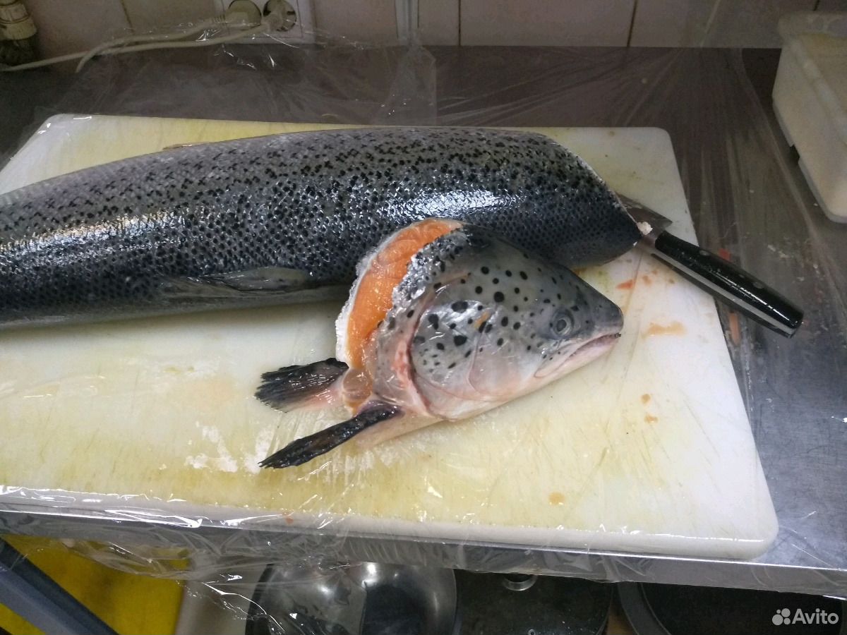 Остатки лосося купить на Зозу.ру - фотография № 2