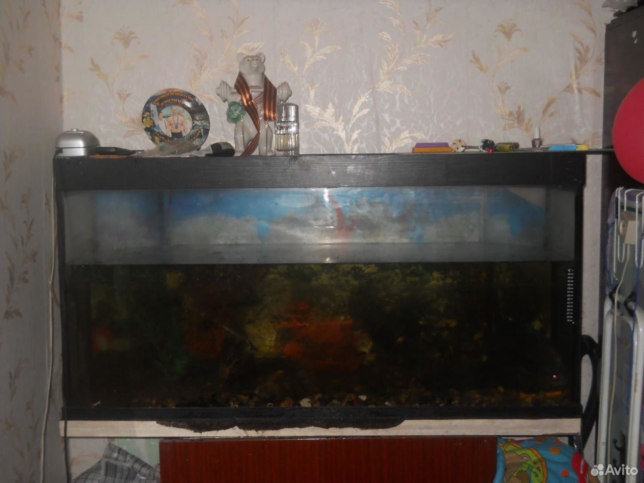 Продам аквариум купить на Зозу.ру - фотография № 1