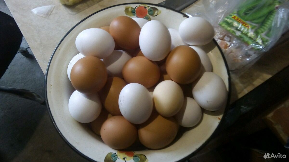 Домашние яйца купить на Зозу.ру - фотография № 3