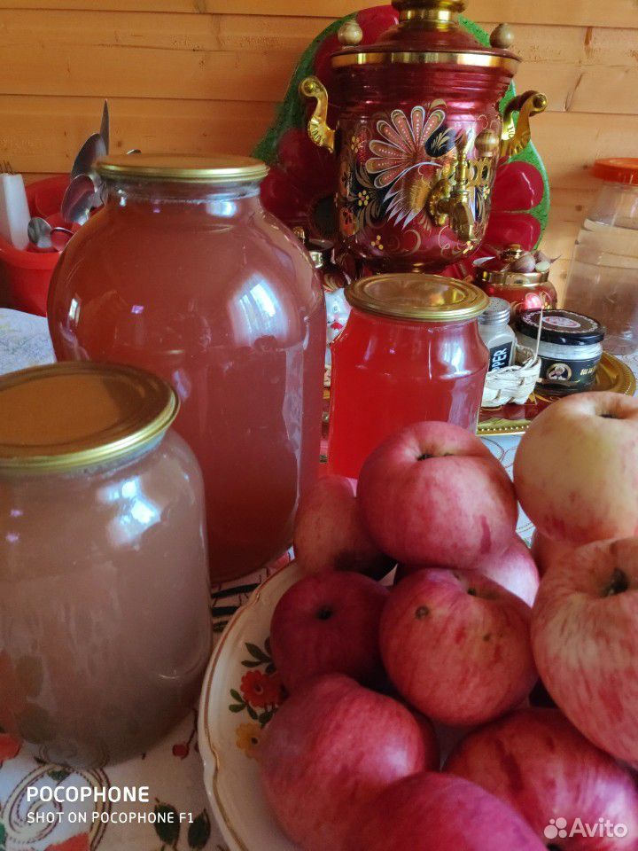 Сок яблочный прямого отжима купить на Зозу.ру - фотография № 3