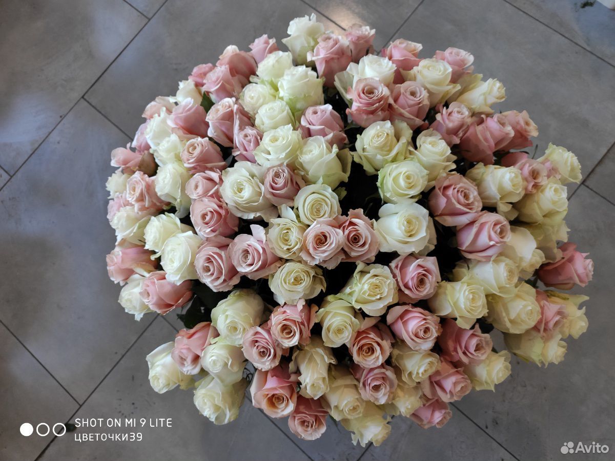 Роза 101 шт. 60 (см) купить на Зозу.ру - фотография № 9