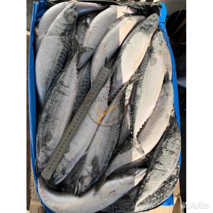 Рыба белгород купить. Скумбрия н/р 300-500 1/25 Фарерские острова.