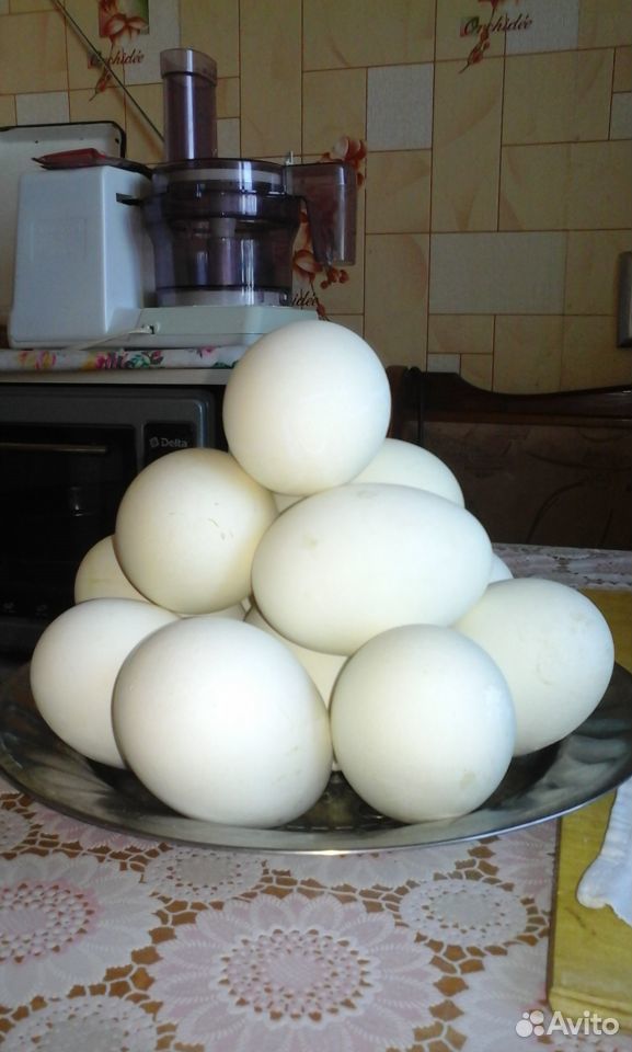 Яйцо куриное домашнее купить на Зозу.ру - фотография № 2