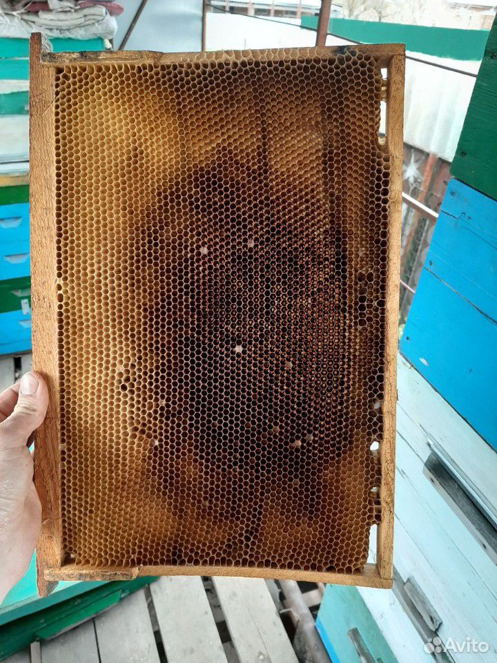 Сушь пчеловодная купить на Зозу.ру - фотография № 2