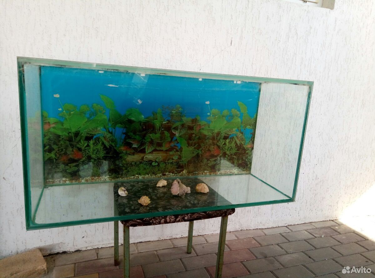 Продается аквариум купить на Зозу.ру - фотография № 1