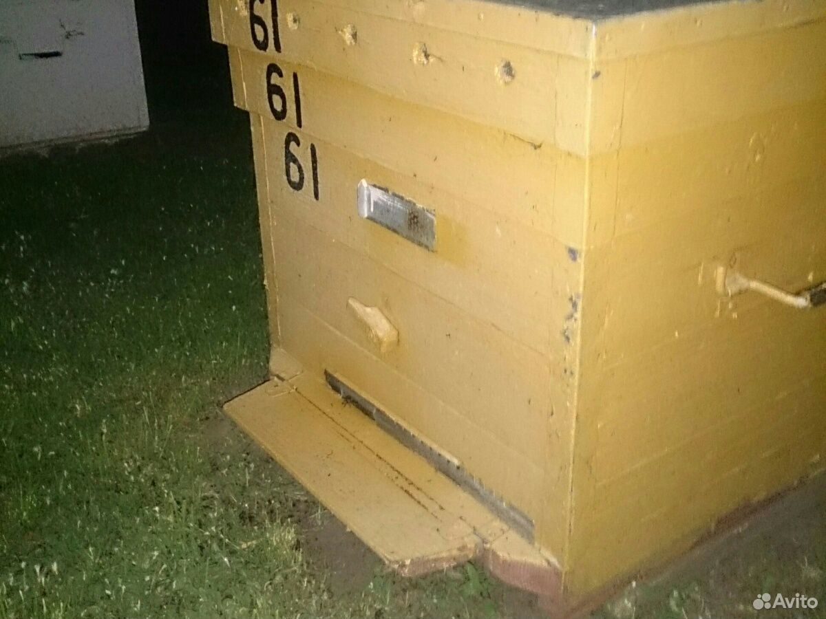 Продаются пчелосемьи купить на Зозу.ру - фотография № 1
