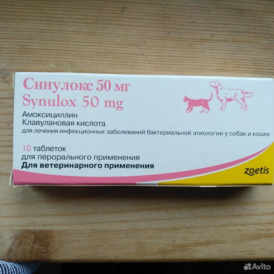 Купить синулокс 250 мг для собак. Синулокс 500 мг. Синулокс 50мл для кошек. Антибиотик для собак синулокс 50. Синулокс для собак 250.