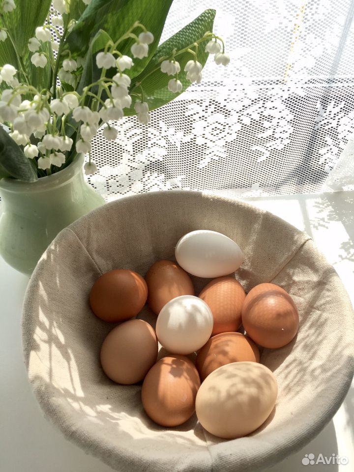 Яйца куриные от домашних кур купить на Зозу.ру - фотография № 1