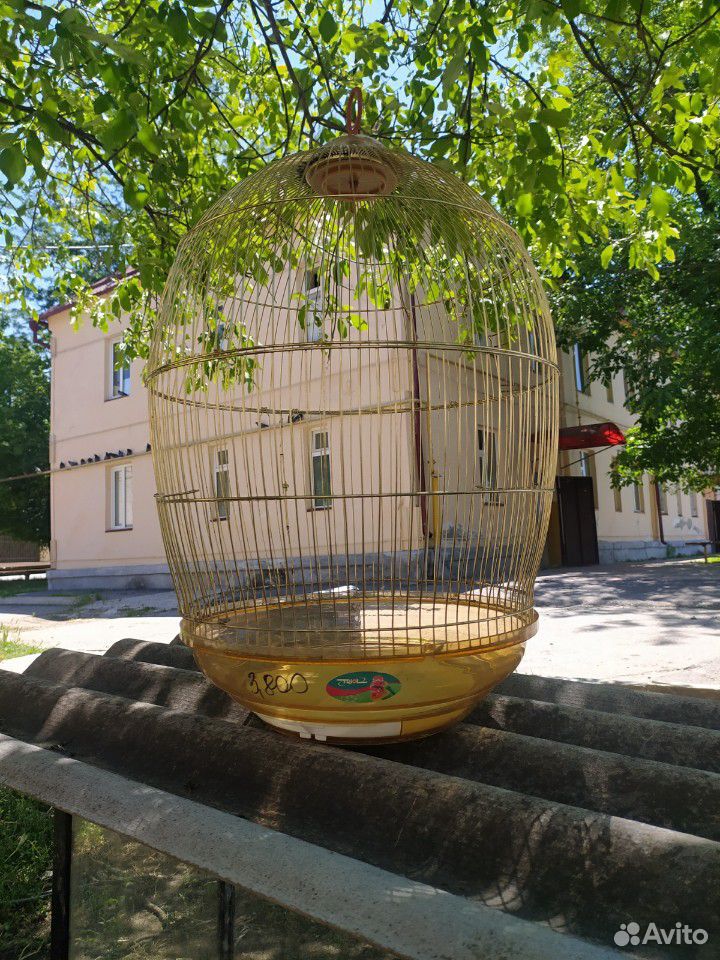 Сетка для попугая купить на Зозу.ру - фотография № 1