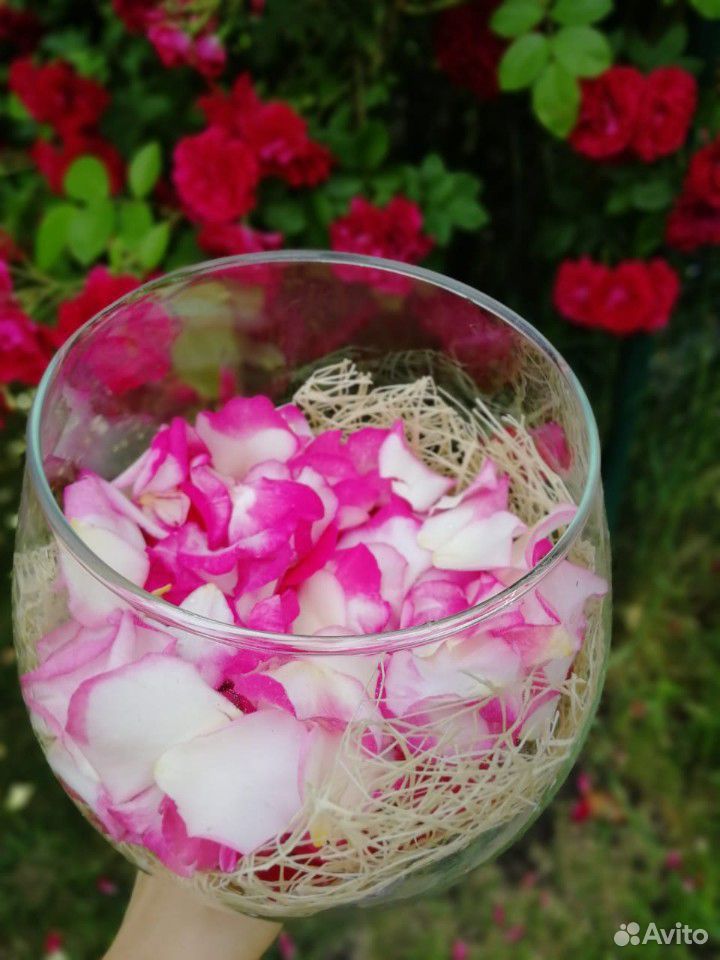 Продам лепестки роз купить на Зозу.ру - фотография № 4