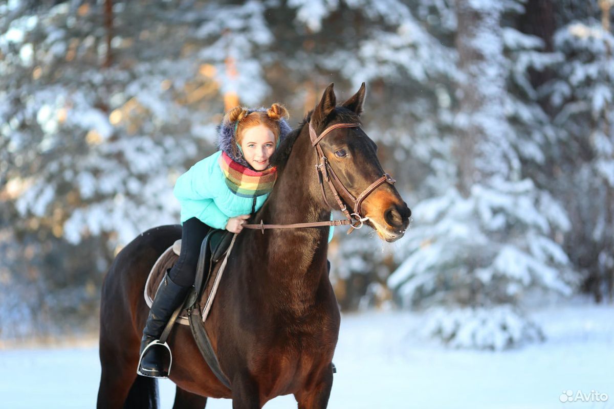 К продаже предлагаются чистопородные пони И лошади купить на Зозу.ру - фотография № 4