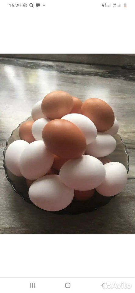Яйцо куриное купить на Зозу.ру - фотография № 1