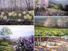 Картины «Весна, Поле в цветах» и миниатюра объявление продам