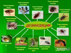 Уничтожение тараканов, клопов и других насекомых объявление продам