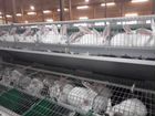 Ферма по разведению кроликов с переработкой мяса объявление продам