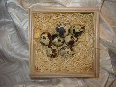 Яйца инкубационные манчжурских перепелов