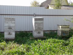 Пчёлы, домики для пчёл / ульи