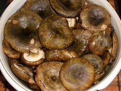 Солёные грибы чёрные грузди