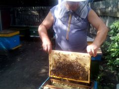 Натуральный мед с экологически чистой территории