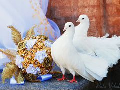 Голуби на свадебные торжества
