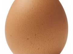 Яйцо инкубационное(гелянская, русская-чёрная-бород