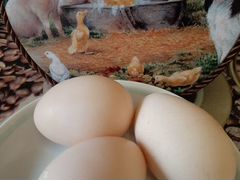 Продам свежие яйца от домашних кур