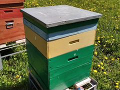 Продам улья для пчел многокорпусные. Пчело семьи
