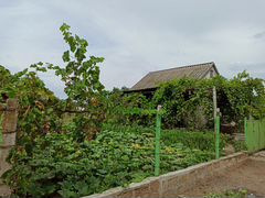 Дом 36, улица морская, красноперекопск фото. Респ. Дача в красноперекопске на мичуринце. Кирова д. Огородное ул.