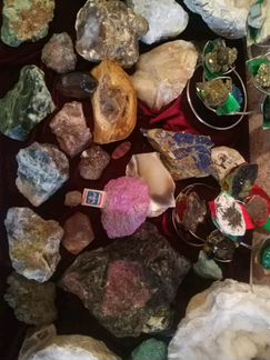 Минералы и окаменелости на сувениры