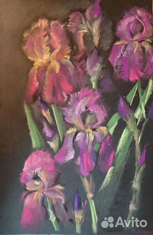 Картина сухой пастелью,Ирисы