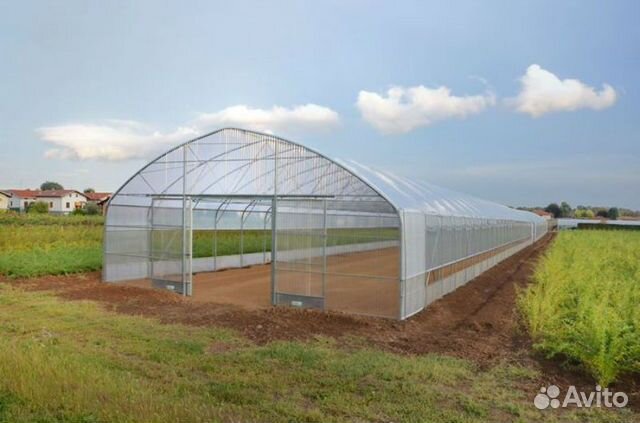 Промышленная теплица ширина 8-20 метров