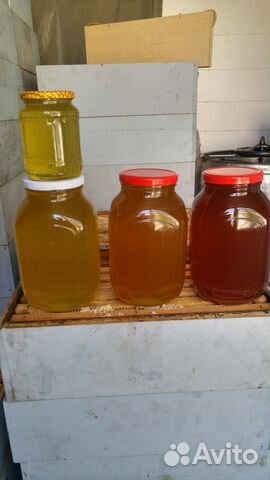 Мёд акации,соты прополис перга. Мелким оптом 15 кг