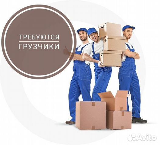 Vakansiya Gruzchik Rabota Na More S Prozhivaniem V Krasnodare Rabota Avito