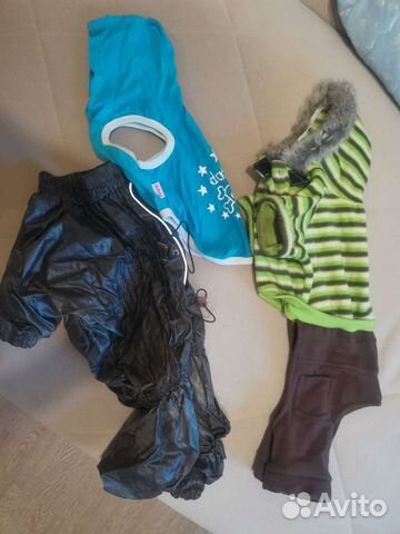 Одежда для собак мелких пород