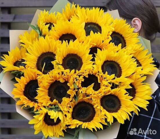 Букет из подсолнухов Подсолнухи Цветы Букеты