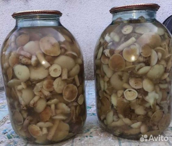 Белые Грибы В Банке Купить