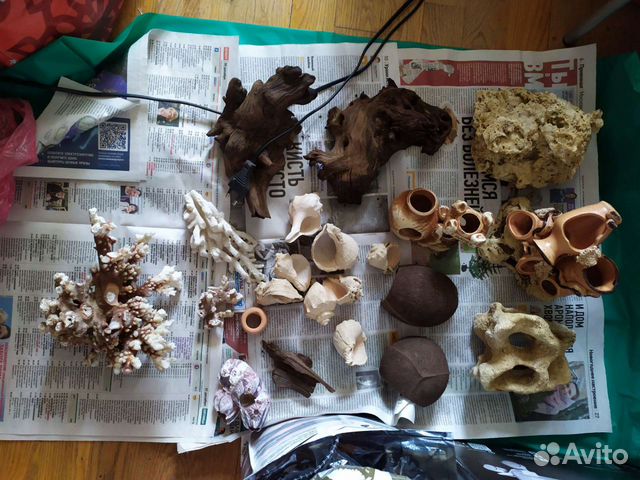 Коряги, гроты, ракушки, грунт в подарок