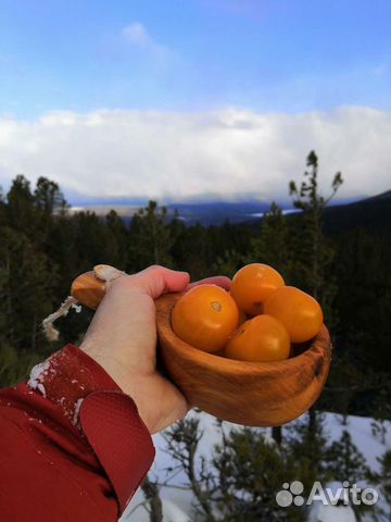 Кукса, Ольха, handmade