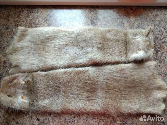 Шкуры нутрии