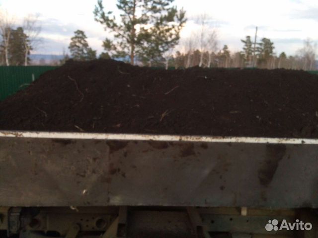 Чернозем, земля сеянный