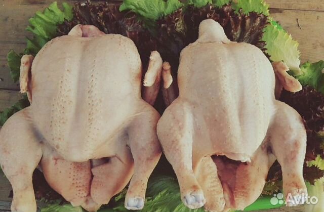 Курочки деревенские