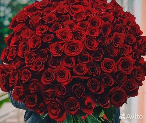 101 Роза Цветы 201 Розы доставка