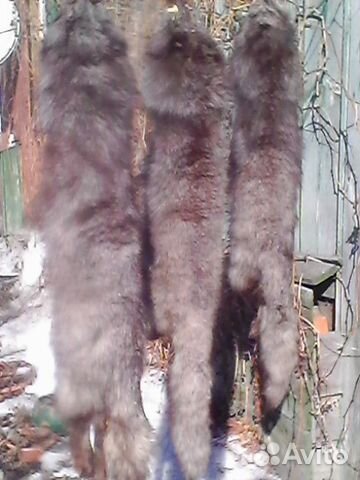 Шкурки чернобурки