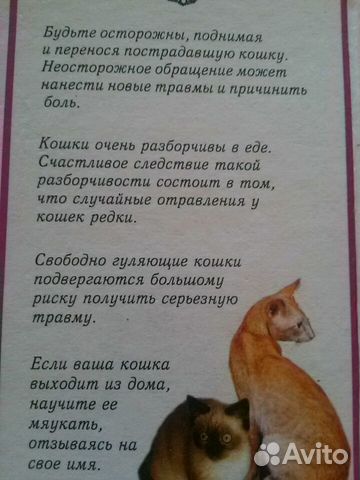 Книга- помощь кошкам