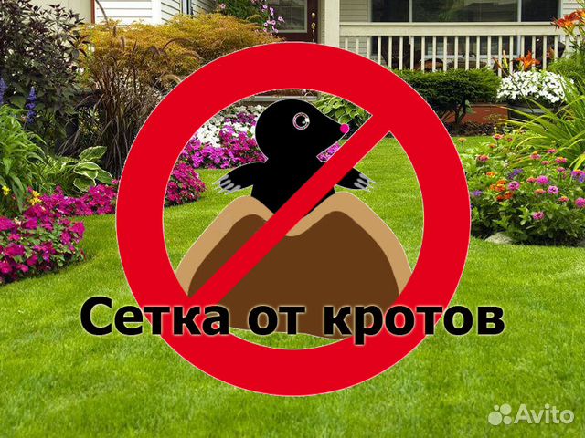 Сетка От Крота Купить