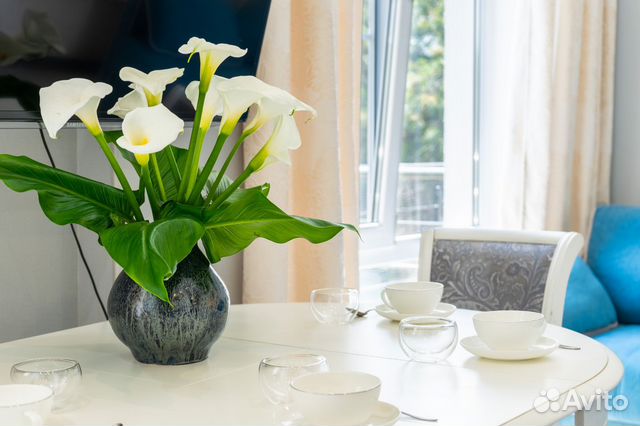 

Квартира-студия, 35 м², 2 кровати