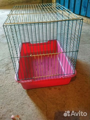 Cage for rats