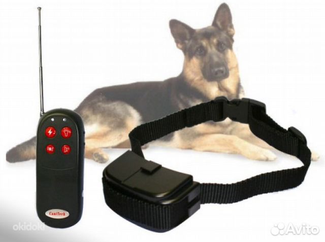 Электронный ошейник для собак